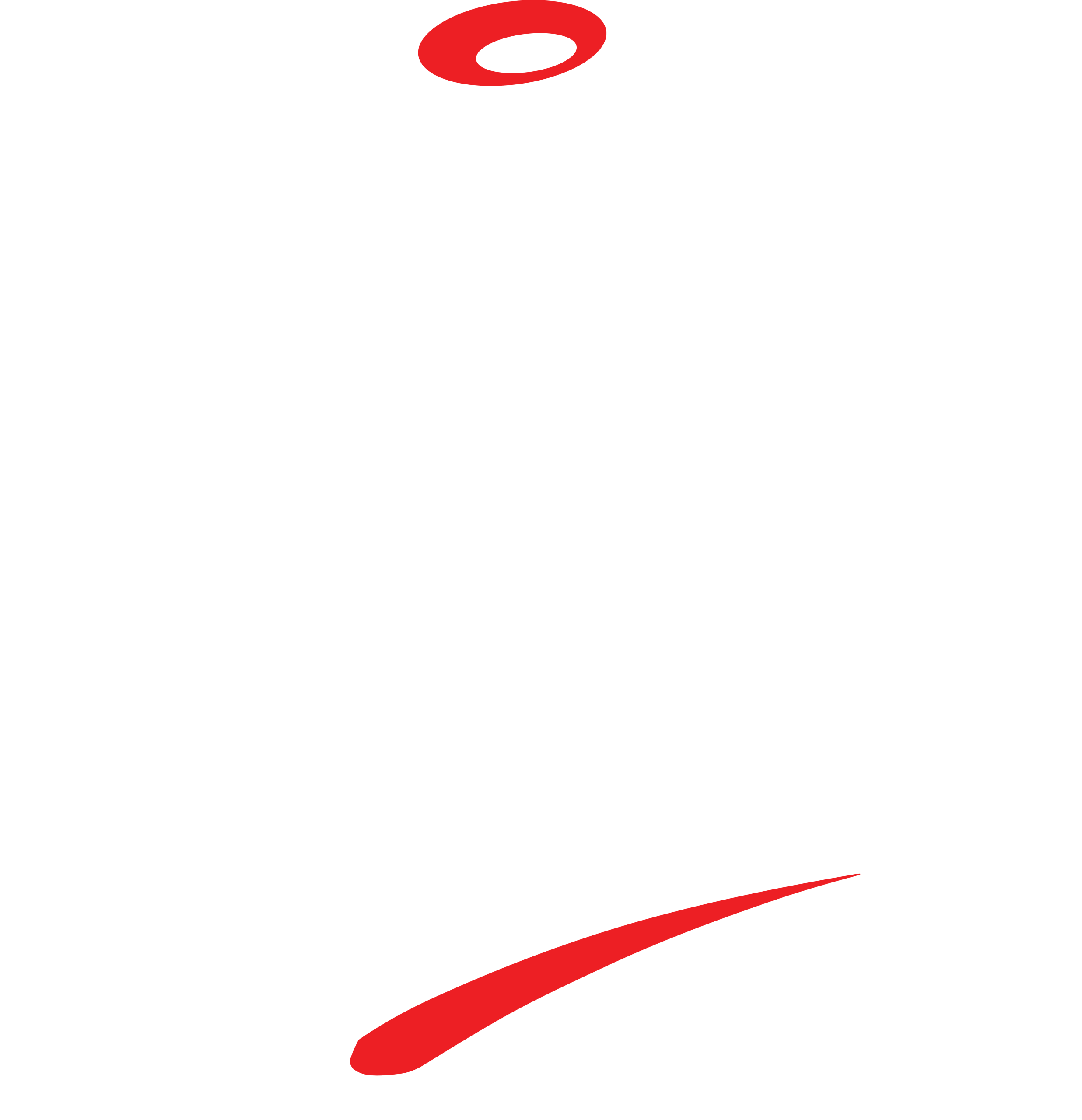 TopRockBunch